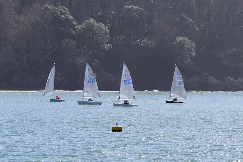 Salcombe Yacht Club Spring Series, Race 2 photo copyright Lucy Burn taken at Salcombe Yacht Club and featuring the Solo class