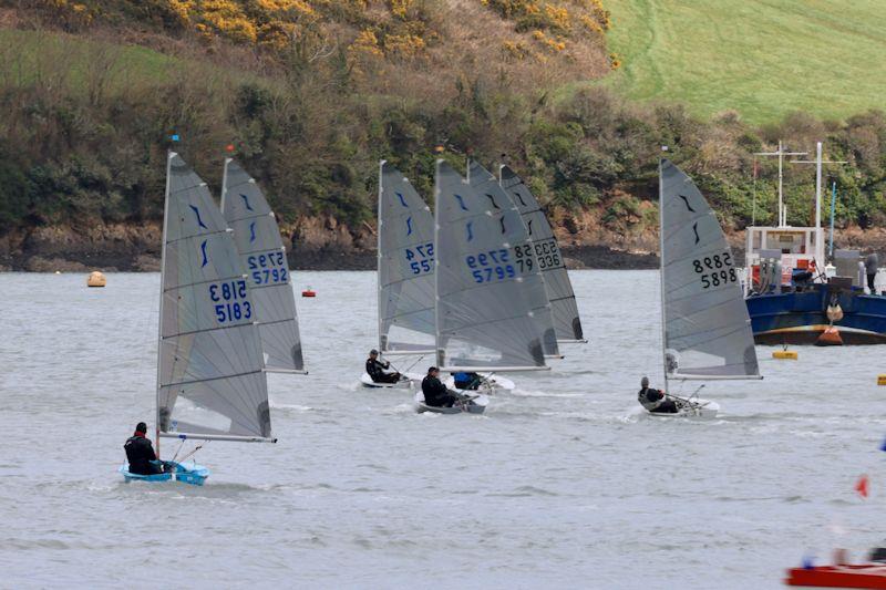 Salcombe YC Spring Series race 4 photo copyright Lucy Burn taken at Salcombe Yacht Club and featuring the Solo class