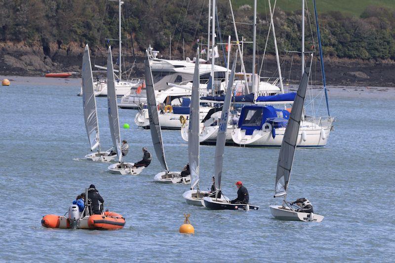 Salcombe YC Spring Series race 5 photo copyright Lucy Burn taken at Salcombe Yacht Club and featuring the Solo class