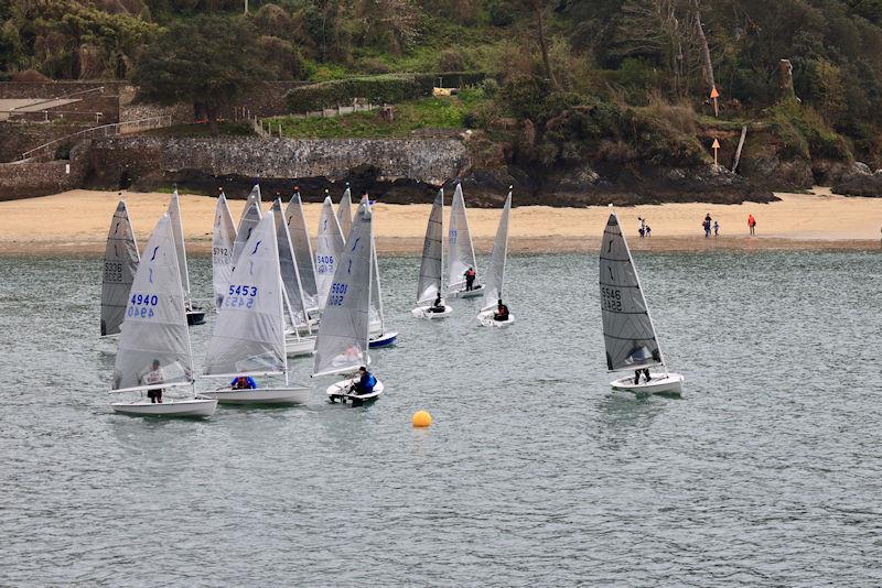 Salcombe Yacht Club Sailing Club Series Race 2 photo copyright Lucy Burn taken at Salcombe Yacht Club and featuring the Solo class