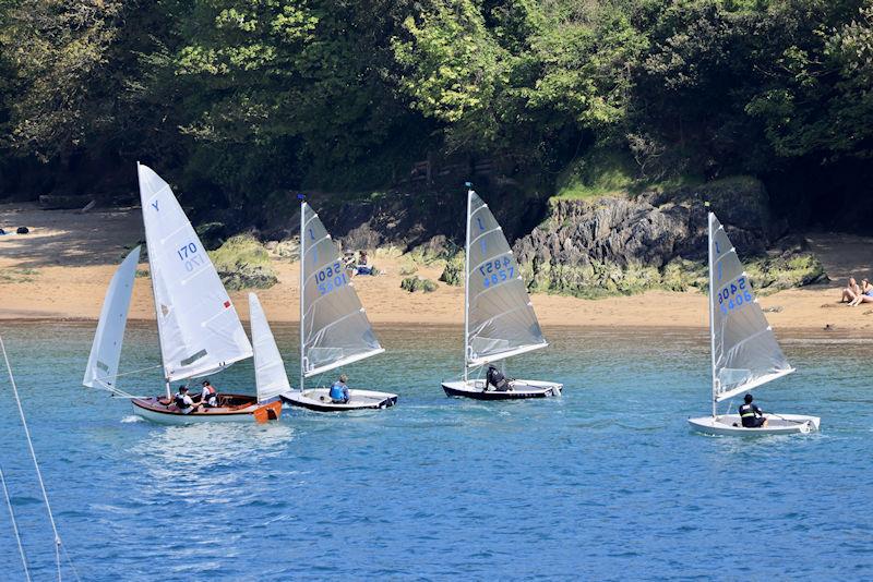 Salcombe Yacht Club Sailing Club Series Race 4 photo copyright Lucy Burn taken at Salcombe Yacht Club and featuring the Solo class