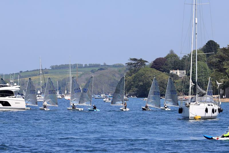 Salcombe Yacht Club Sailing Club Series Race 4 photo copyright Lucy Burn taken at Salcombe Yacht Club and featuring the Solo class