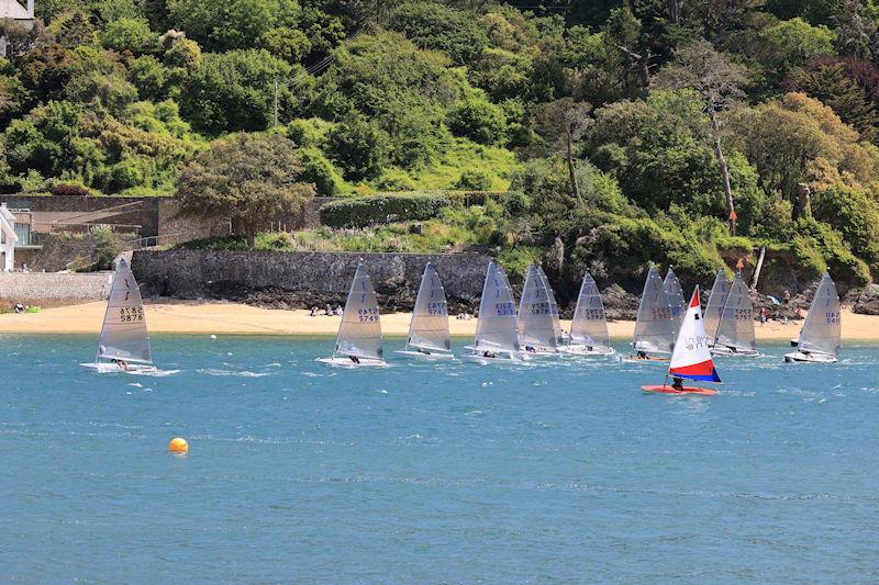 Sailing Club Series race 6 at Salcombe YC - photo © Lucy Burn