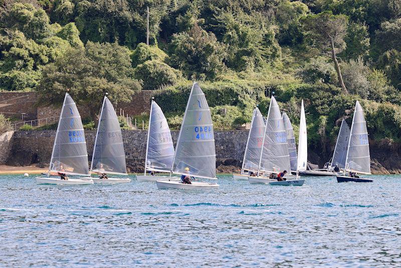 Salcombe Yacht Club Autumn Series Race 2 photo copyright Lucy Burn taken at Salcombe Yacht Club and featuring the Solo class