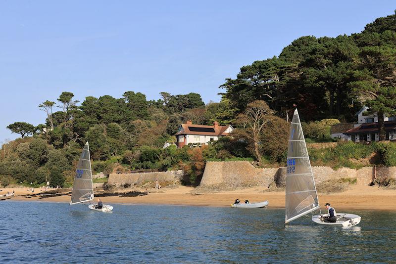 Salcombe Yacht Club Autumn Series Race 6 photo copyright Lucy Burn taken at Salcombe Yacht Club and featuring the Solo class