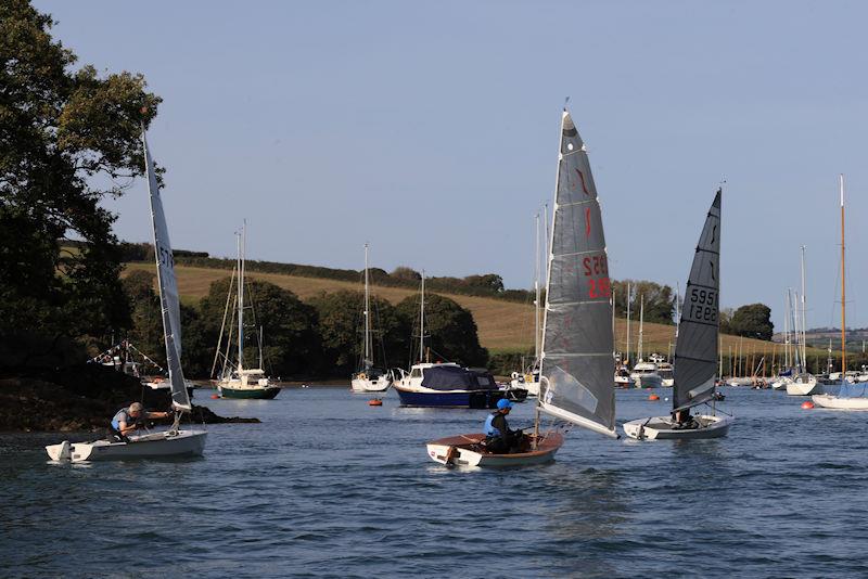 Salcombe Yacht Club Autumn Series Race 6 photo copyright Lucy Burn taken at Salcombe Yacht Club and featuring the Solo class