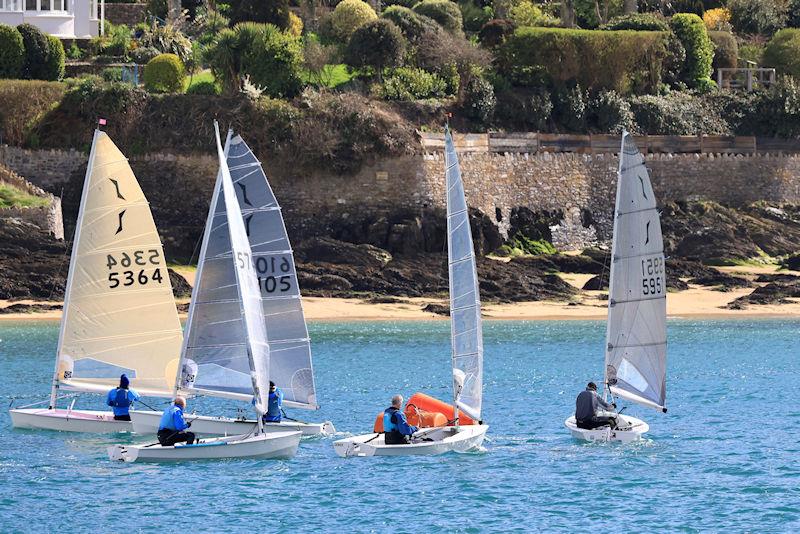 Salcombe Yacht Club Spring Series Race 3 photo copyright Lucy Burn taken at Salcombe Yacht Club and featuring the Solo class