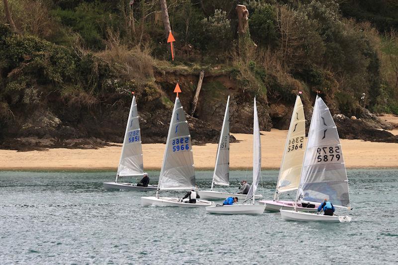 Salcombe Yacht Club Spring Series Race 3 photo copyright Lucy Burn taken at Salcombe Yacht Club and featuring the Solo class