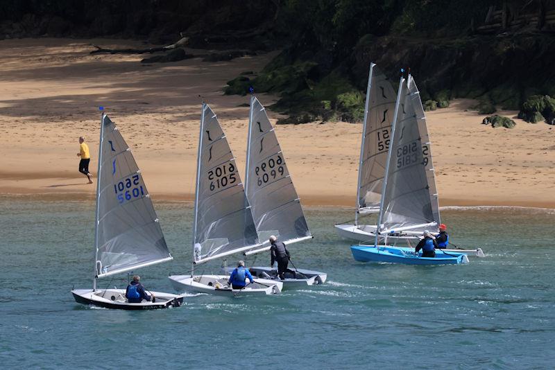 Salcombe Yacht Club Spring Series Race 6 photo copyright Lucy Burn taken at Salcombe Yacht Club and featuring the Solo class