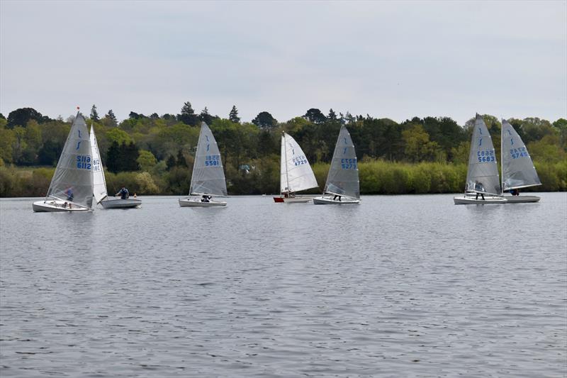 Solo class Southern Area Series at Spinnaker - photo © Nicola Pepe