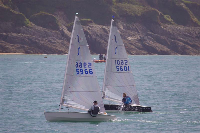 Salcombe YC Sailing Club Series Race 1 photo copyright Lucy Burn taken at Salcombe Yacht Club and featuring the Solo class