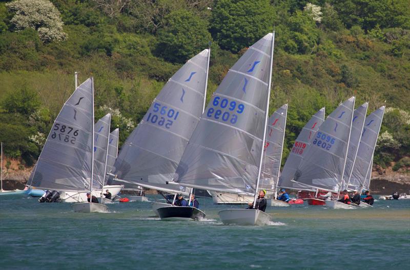 Salcombe Yacht Club Solo Open photo copyright Lucy Burn taken at Salcombe Yacht Club and featuring the Solo class