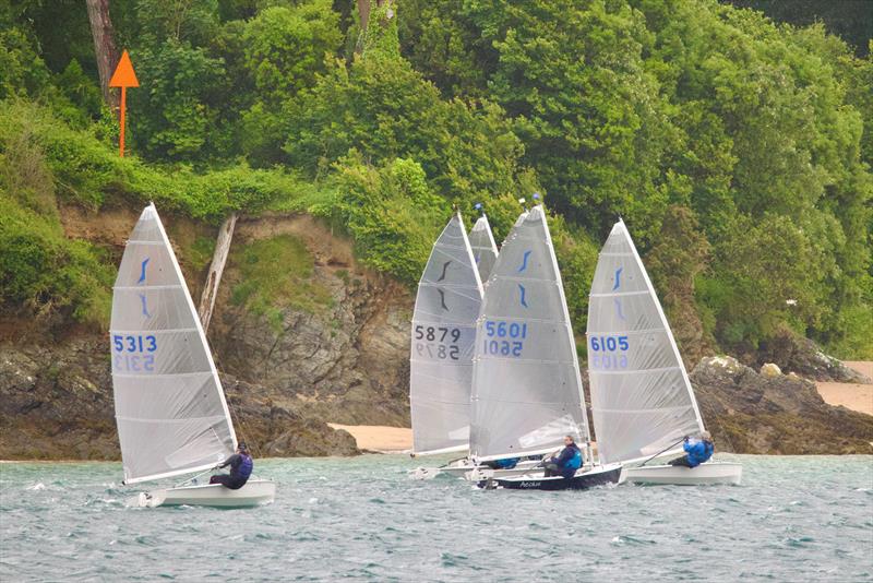 Salcombe YC Sailing Club Series final race - photo © Lucy Burn