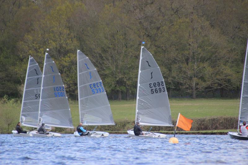 Bough Beech Solo Open - photo © Sarah Seddon