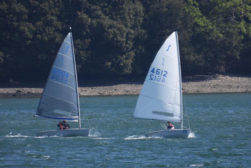 Fighting for the win - P&B Solo Western Series at Dittisham photo copyright Will Loy taken at Dittisham Sailing Club and featuring the Solo class