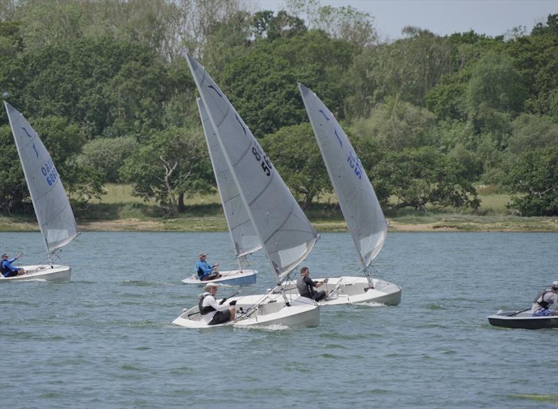 P&B Solo Southern Series Open at Dell Quay Sailing Club - photo © John Rogerson
