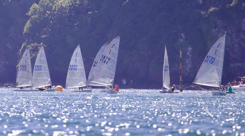 Salcombe Yacht Club Sailing Club Series Race 6 photo copyright Lucy Burn taken at Salcombe Yacht Club and featuring the Solo class