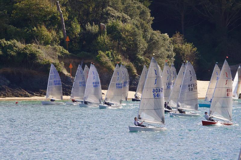 P&B Solo Western Series at Salcombe Yacht Club photo copyright Lucy Burn taken at Salcombe Yacht Club and featuring the Solo class