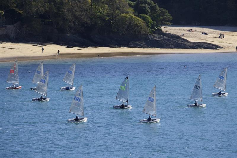 P&B Solo Western Series at Salcombe Yacht Club - photo © Lucy Burn