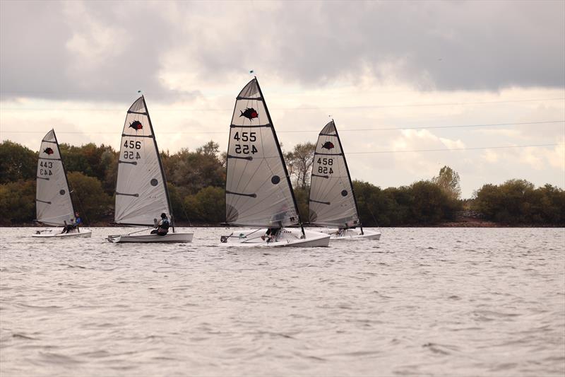 Solution Inlands at Chase SC photo copyright Isabel Tate taken at Chase Sailing Club and featuring the Solution class