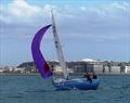 Jackson Yacht Services Bay Races in St Aubin's Bay, Jersey