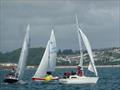 Sonata Southern Championships at Brixham