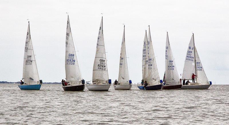 Sonatas during Mersea Week 2018 photo copyright Chrissie Westgate taken at West Mersea Yacht Club and featuring the Sonata class