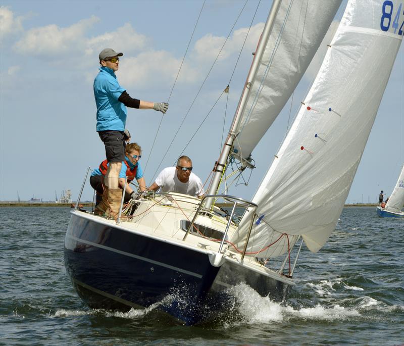 Medway Regatta 2019 photo copyright Nick Champion / www.championmarinephotography.co.uk taken at Medway Yacht Club and featuring the Sonata class