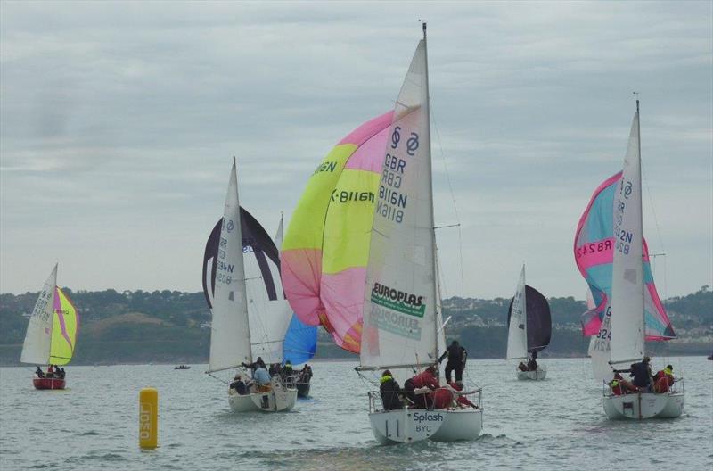 Sonata Southern Championships at Brixham photo copyright Chris Coote taken at Brixham Yacht Club and featuring the Sonata class