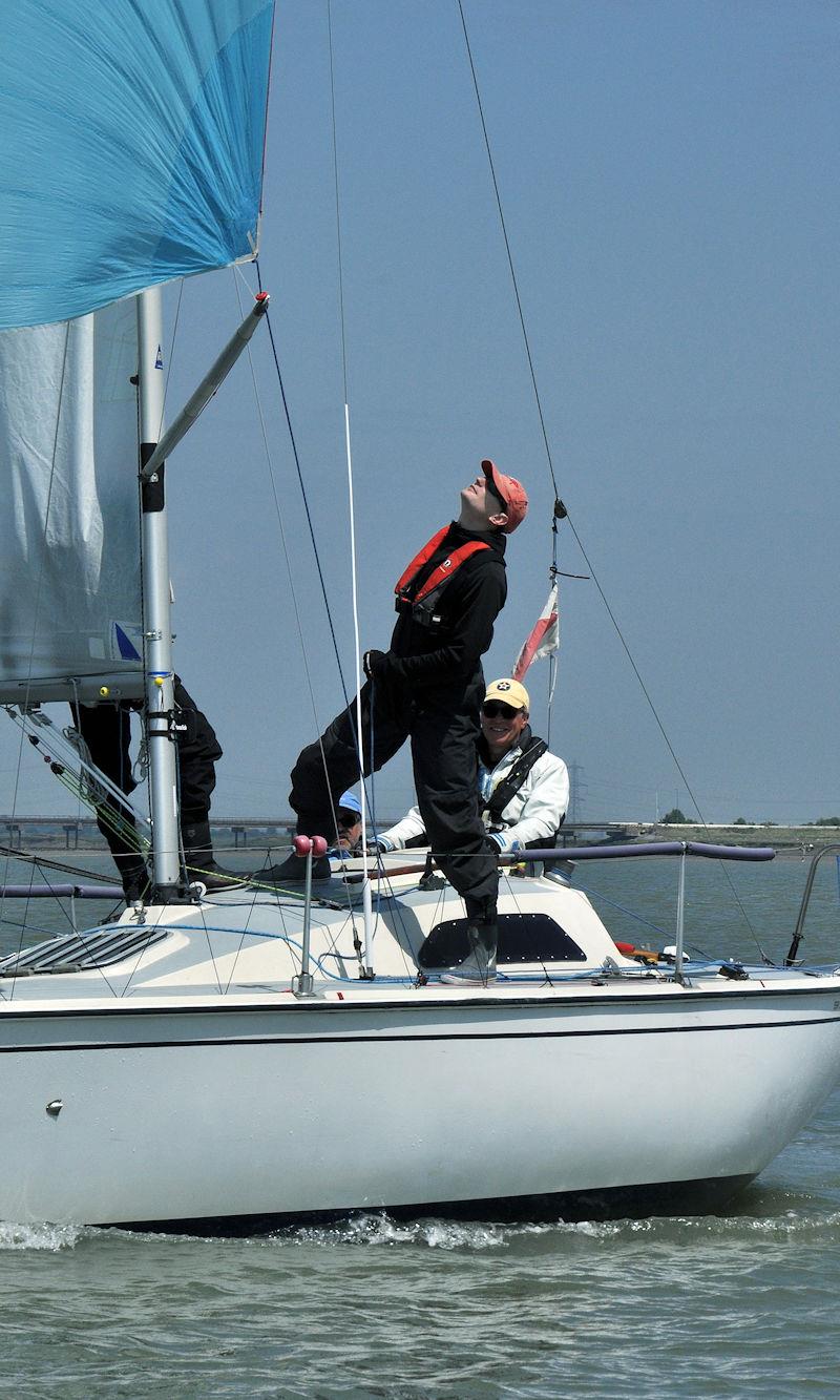 Medway Yacht Club Keelboat Regatta 2022 photo copyright Nick Champion / www.championmarinephotography.co.uk taken at Medway Yacht Club and featuring the Sonata class