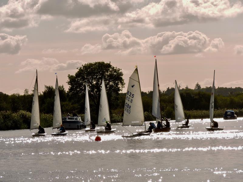 Horning Sailing Club End of Season Regatta 2023 photo copyright Holly Hancock taken at Horning Sailing Club and featuring the Splash class