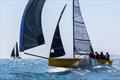 Don't Panic won every race - 2026 Jeanneau and 74 Islands Airlie Beach Race Week day 7 &copy; Andrea Francolini / ABRW