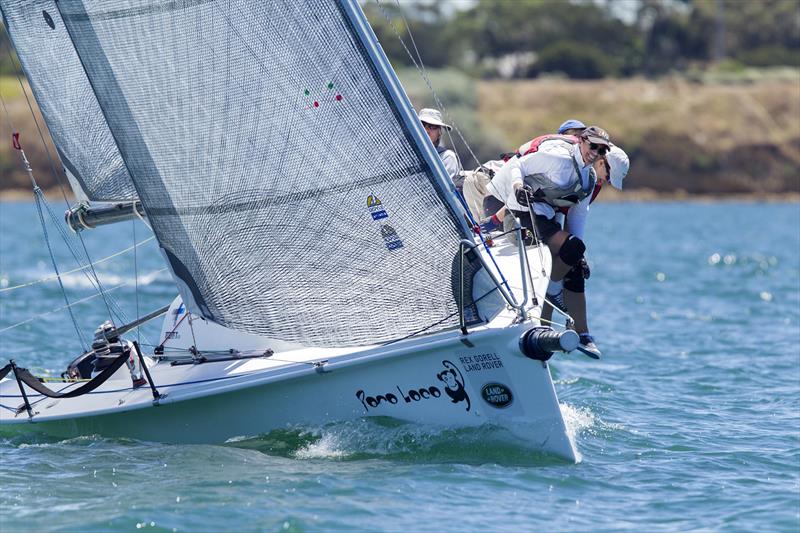 Super 11 Poco Loco on Super Sunday at the Festival of Sails 2017 - photo © Steb Fisher