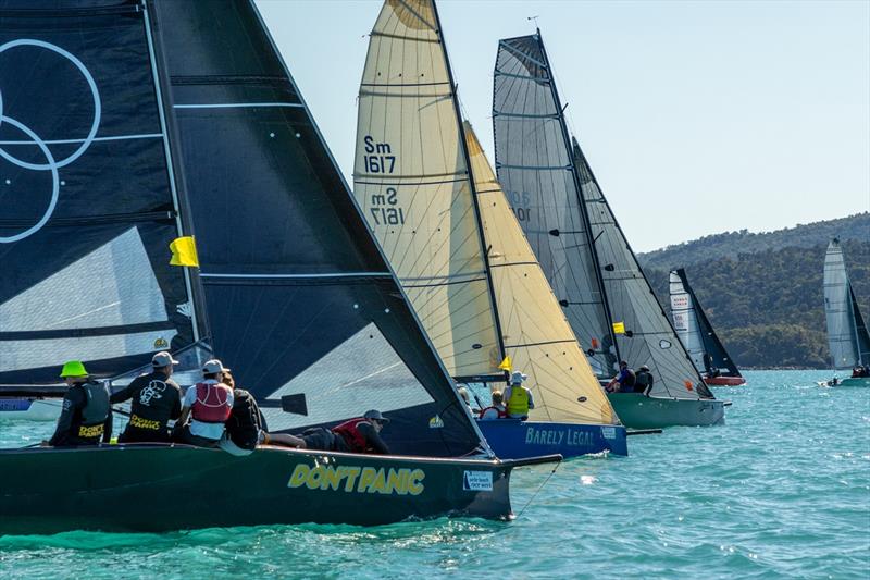 Don't Panic and others off the Division 1 start line - 2023 Airlie Beach Race Week photo copyright Shirley Wodson / ABRW taken at Whitsunday Sailing Club and featuring the Sportsboats class