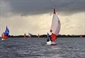 © Fiona Ward Irish Squib Inlands at Lough Derg © Fiona Ward