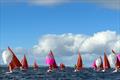  Kerfuffle No.37, Durt No.241, Ruby Blue No. 35, and Alkypops No. 836. on the run - Irish Squib Inland Championships at Lough Derg © Tadg Murphy