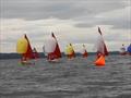 Stewart Brewing Squib UK Nationals at Royal Forth Yacht Club Day 5 © Joe O'Leary