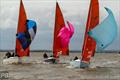 Spinnaker drop in the Squib fleet on day 5 of Burnham Week 2026 &copy; Petru Balau Sports Photography / sports.hub47.com