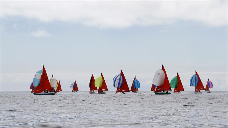 Squib South Coast Championships at Glandore Harbour photo copyright Kathleen Hayes taken at Glandore Harbour Yacht Club and featuring the Squib class