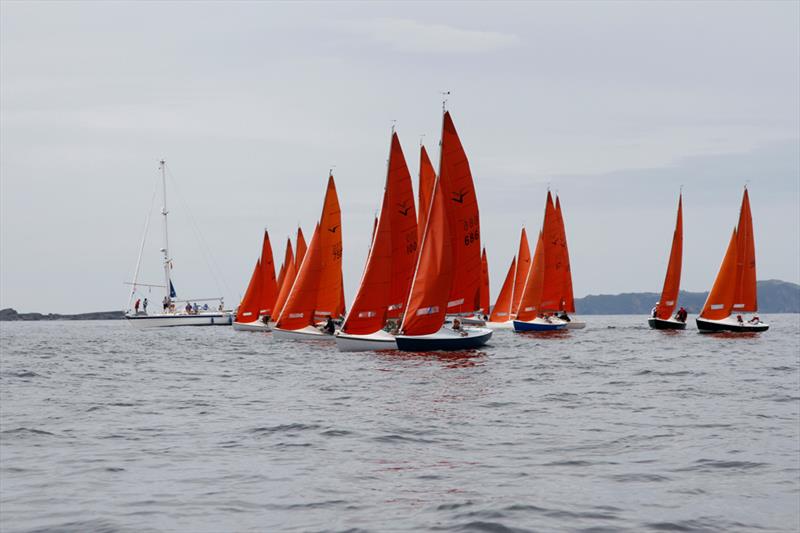 Squib South Coast Championships at Glandore Harbour photo copyright Kathleen Hayes taken at Glandore Harbour Yacht Club and featuring the Squib class