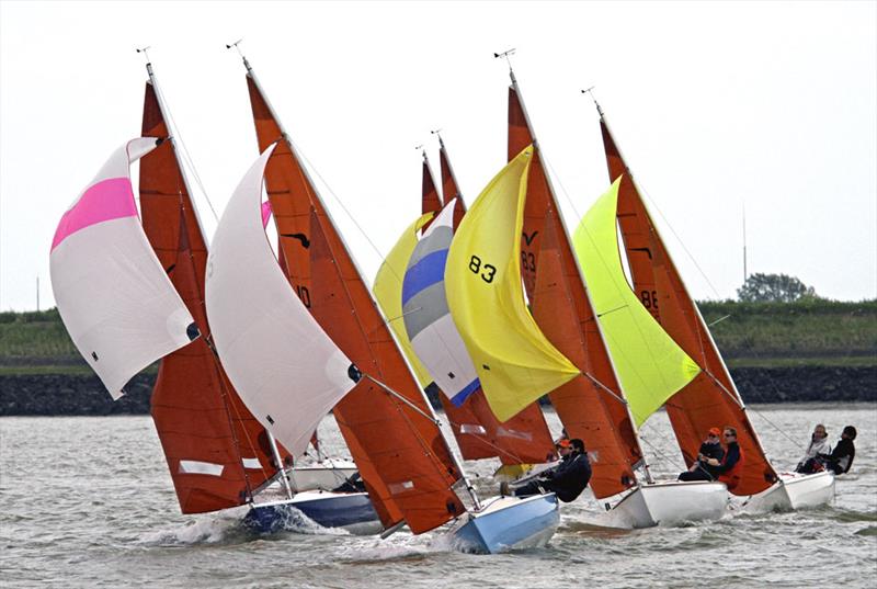 2015 Squib Gold Cup photo copyright Roger Mant taken at Royal Corinthian Yacht Club and featuring the Squib class