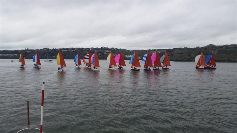 Kinsale Frostbite Series photo copyright Michele Kennelly taken at Kinsale Yacht Club and featuring the Squib class