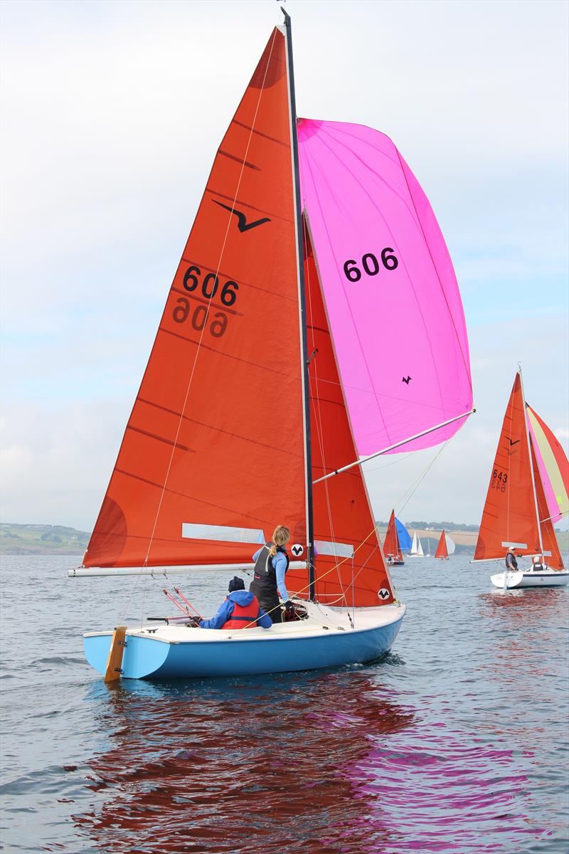 Irish Squib South Coast Championship at Kinsale photo copyright Fiona Ward taken at Kinsale Yacht Club and featuring the Squib class