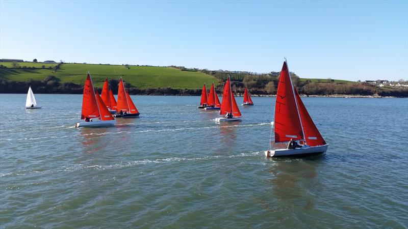 Kinsale Yacht Club Osean74 Frostbite Series day 1 photo copyright Michele Kennelly taken at Kinsale Yacht Club and featuring the Squib class