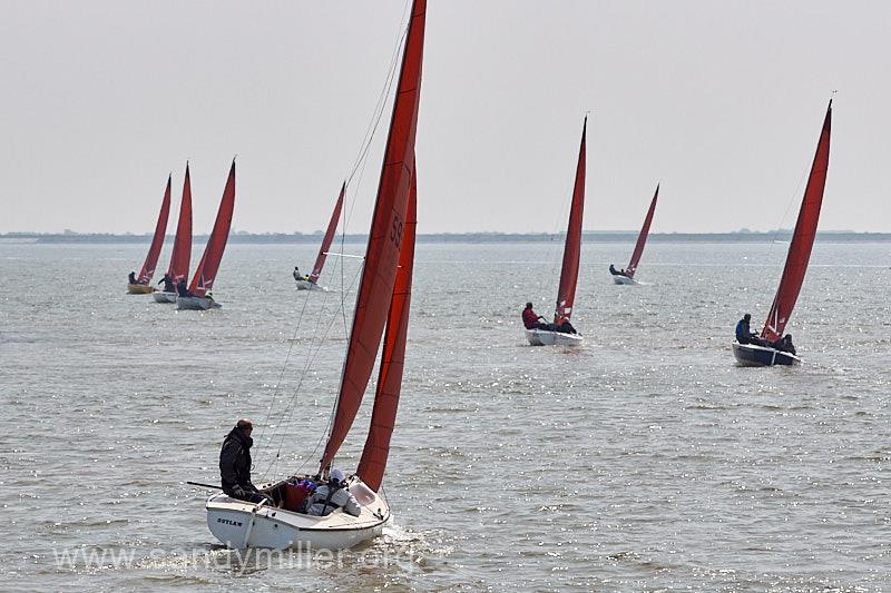 Squib East Coast Championship in Burnham - photo © Sandy Miller / www.sandymiller.org