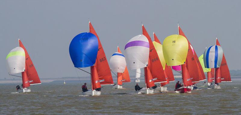 Squib East Coast Championship in Burnham photo copyright Roger Mant taken at Royal Corinthian Yacht Club, Burnham and featuring the Squib class