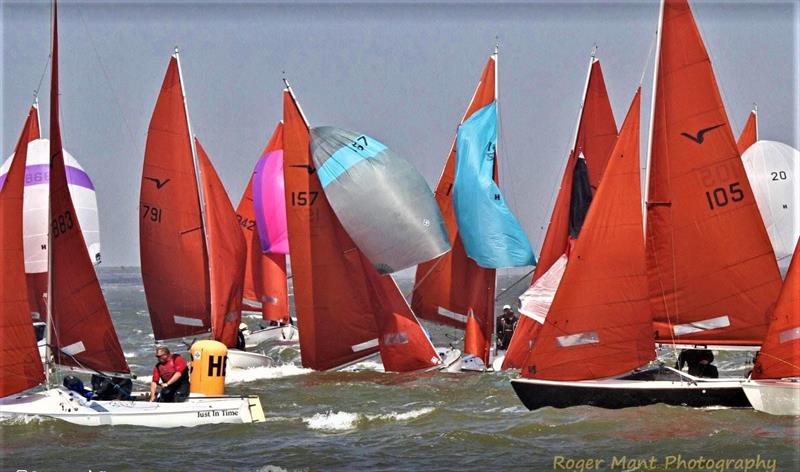 The 50th Anniversary Squib Nationals has been capped at 100 boats photo copyright Roger Mant Photography taken at Cowes Combined Clubs and featuring the Squib class