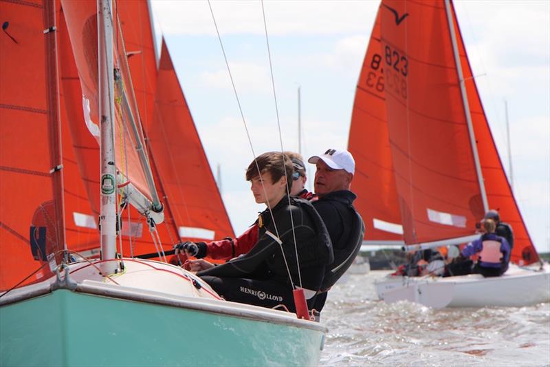 Corinthian Otters Squib sailing in Burnham photo copyright Chris Cox taken at Royal Corinthian Yacht Club, Burnham and featuring the Squib class