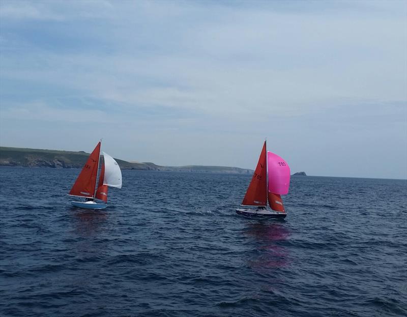 Irish Squib Southern Championship at Kinsale photo copyright Michele Kennelly taken at Kinsale Yacht Club and featuring the Squib class