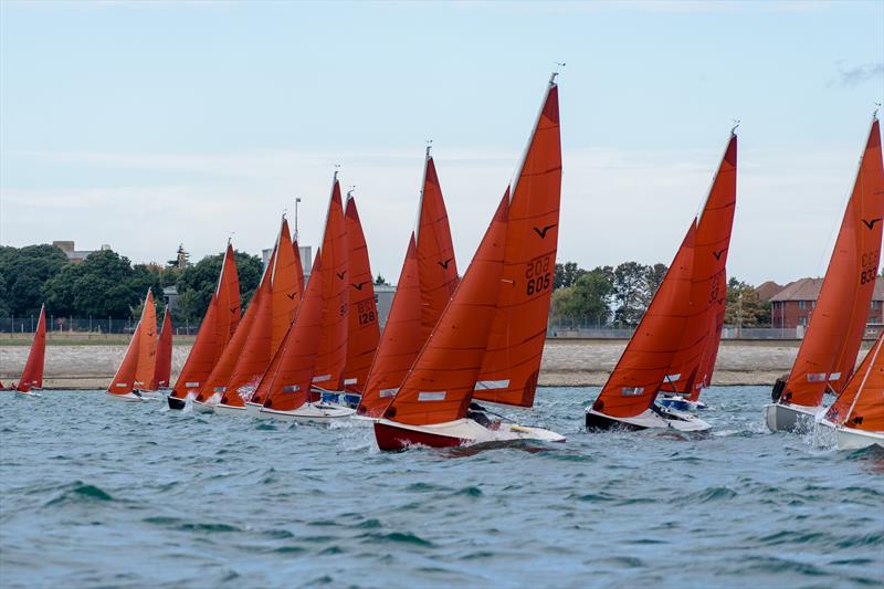 Squib South Coast Championship in Portsmouth photo copyright Louis Goldman taken at Portsmouth Sailing Club and featuring the Squib class